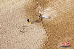 气候变化大背景下 “中原